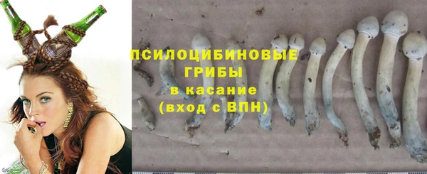 Альфа ПВП Верея