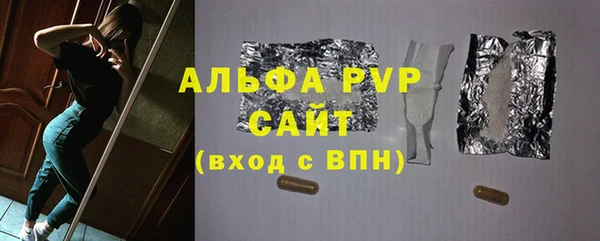 Альфа ПВП Верея