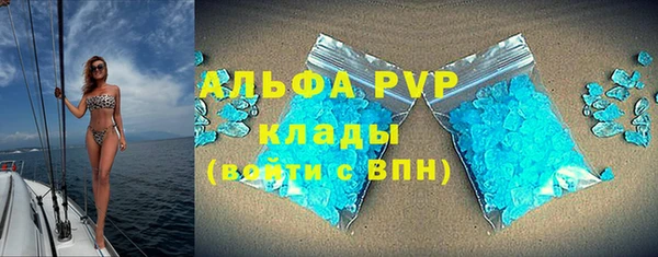 Альфа ПВП Верея
