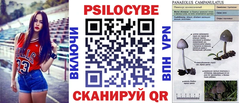 магазин продажи наркотиков  Кущёвская  Псилоцибиновые грибы Magic Shrooms 