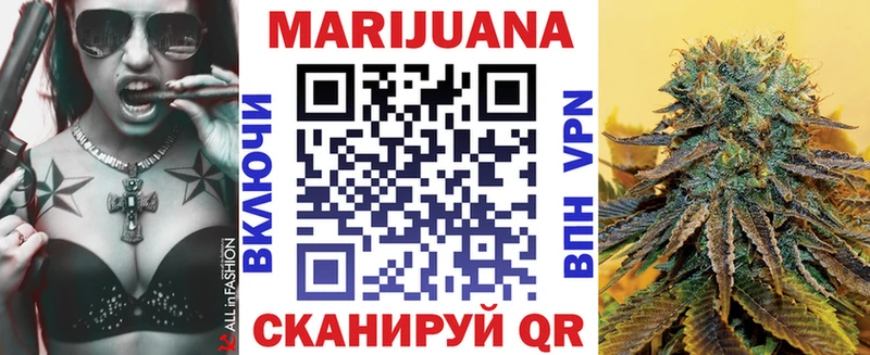 Канабис гибрид  Кущёвская 